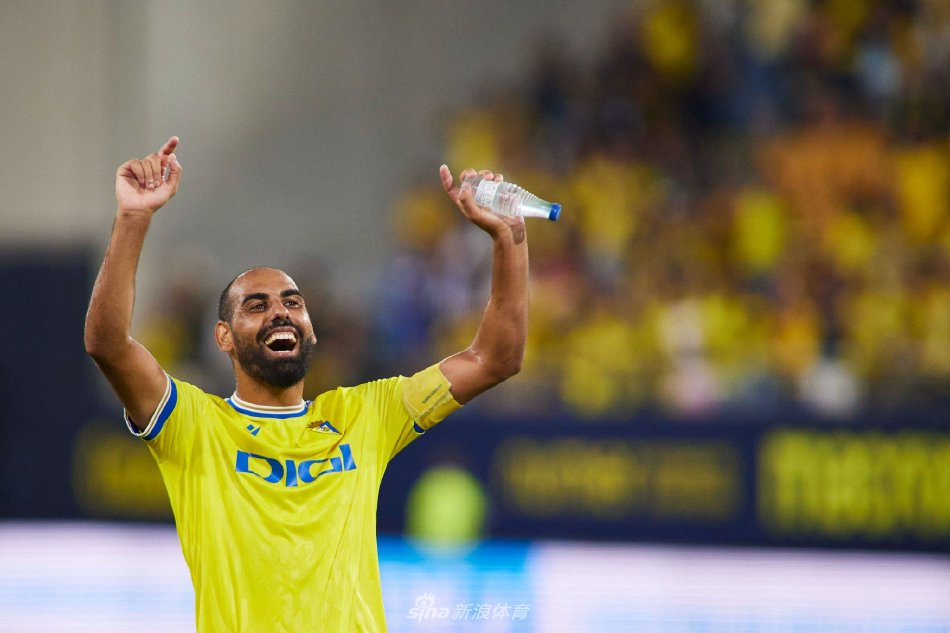 体系问题显 体系问题显